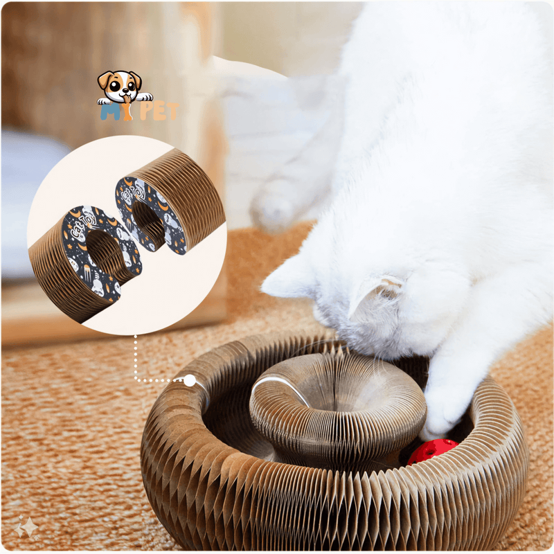 Arranhador De Gatos Com Bolinha Varias Formas Interativo Com Cat Nip