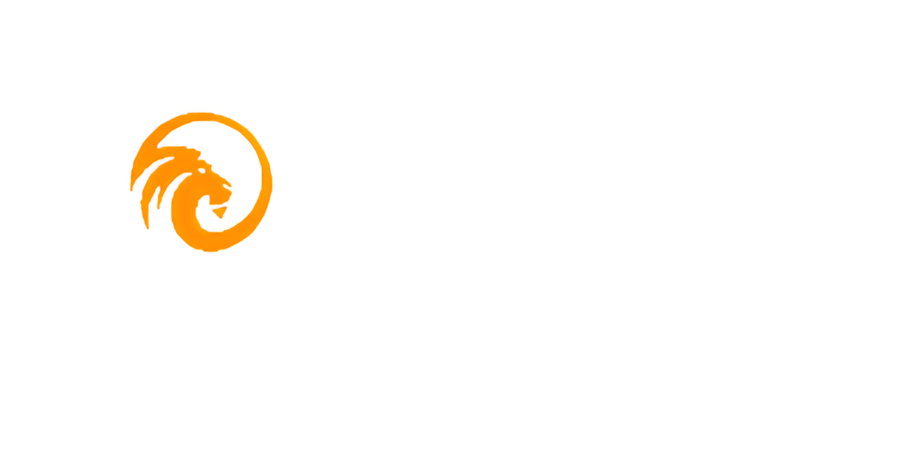 Raion Store