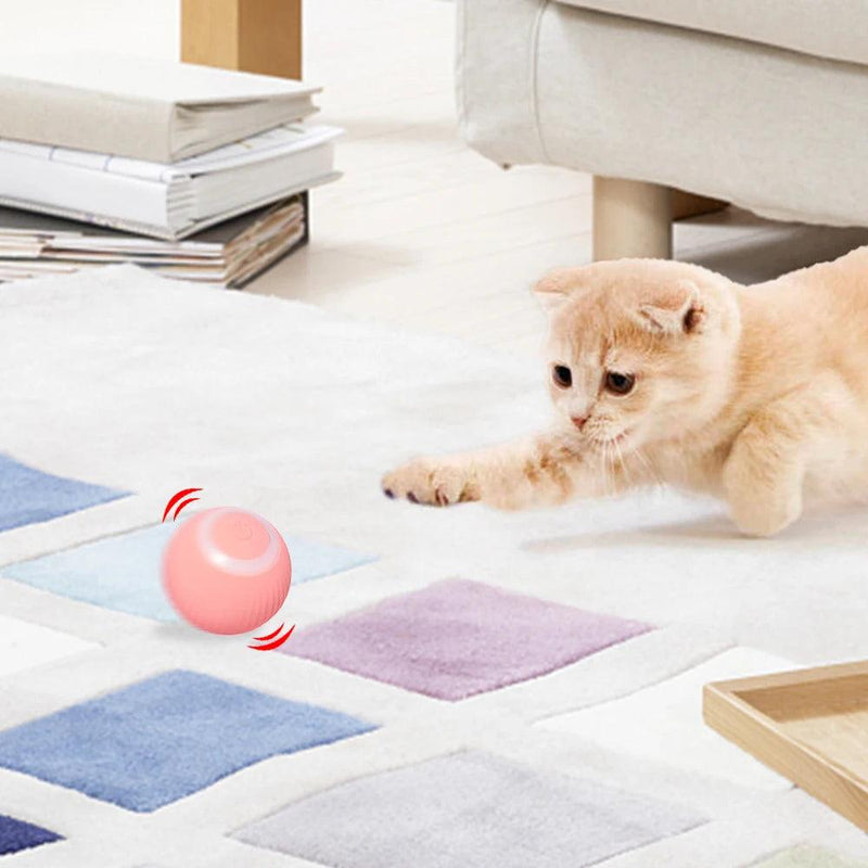 Pet Automatic Rolling Cat Toy Training Self-propelled Kitten Toy Indoor Interactive Play Electric Smart Cat Ball Toy Supplies